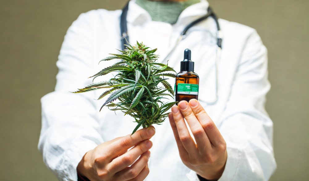 A doctor is holding a marijuana and a bottle
